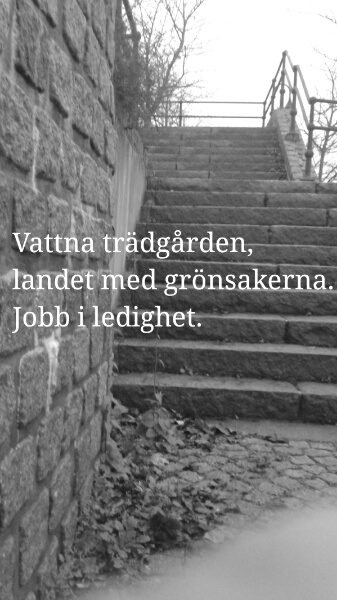 Bild med  haiku 'Vattna' i diktsamling 