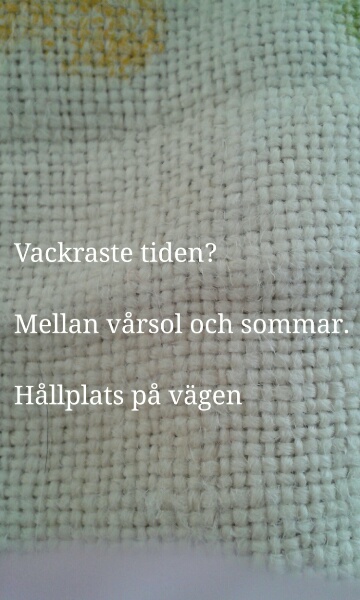 Bild med  haiku 'Vackraste tiden' i diktsamling 