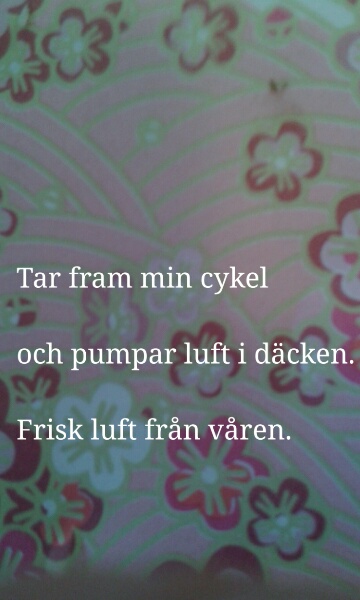 Bild med  haiku 'Min cykel' i diktsamling 